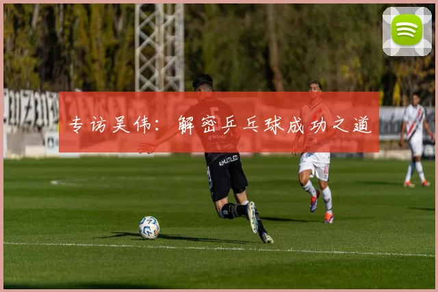 专访吴伟：解密乒乓球成功之道