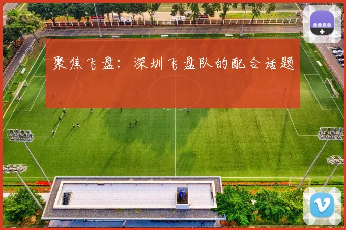 聚焦飞盘：深圳飞盘队的配合话题